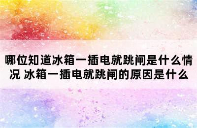 哪位知道冰箱一插电就跳闸是什么情况 冰箱一插电就跳闸的原因是什么